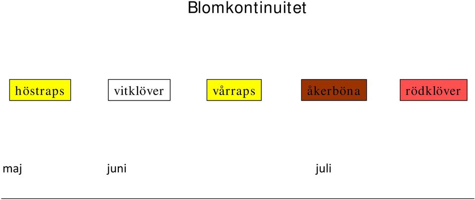 vårraps åkerböna