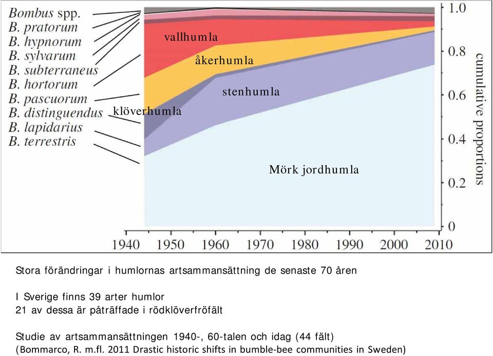 påträffade i rödklöverfröfält Studie av artsammansättningen 1940-, 60-talen och idag