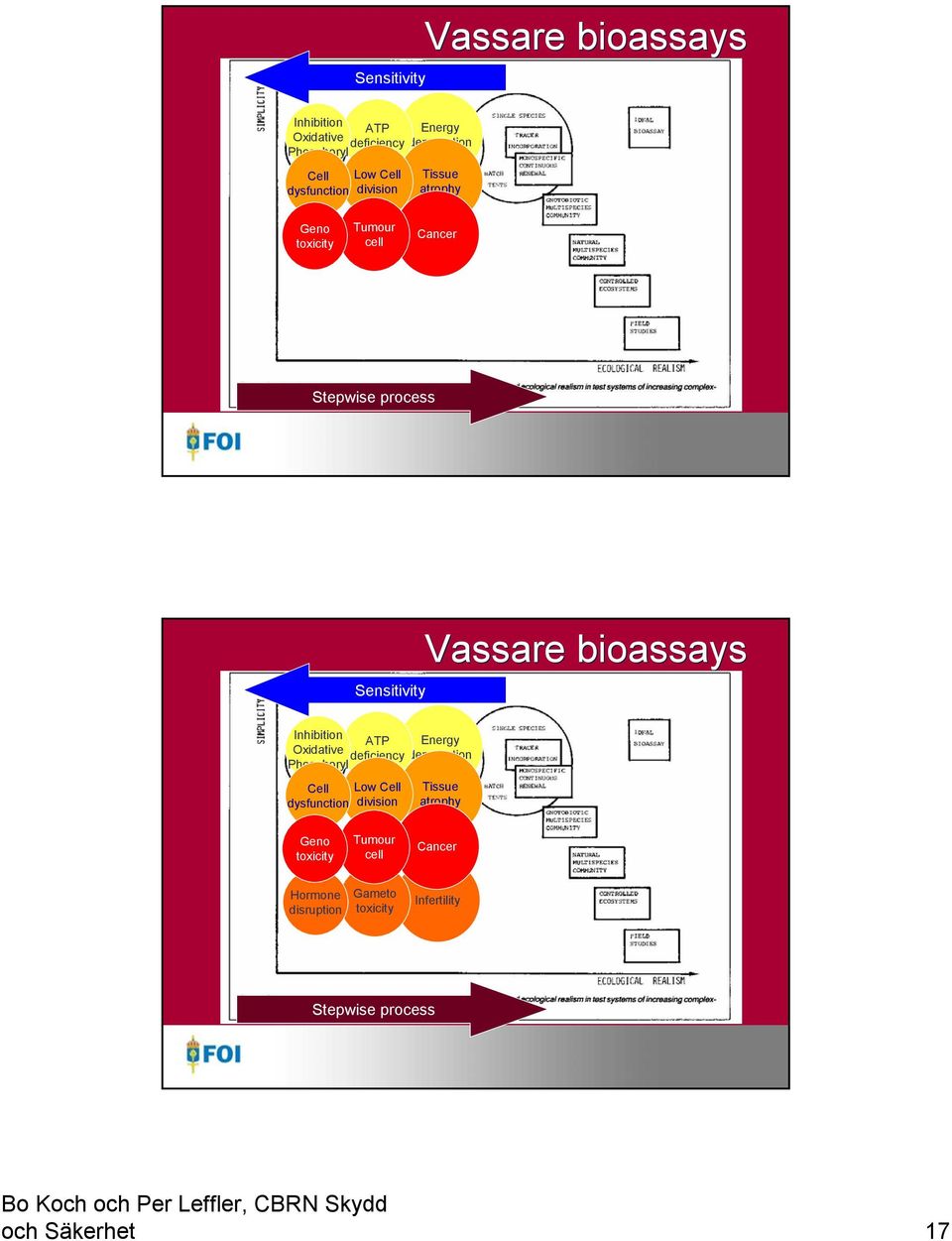 atrophy Geno toxicity Tumour cell Cancer Hormone disruption Gameto toxicity Infertility Stepwise process och