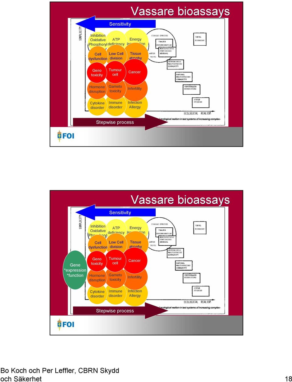 Vassare bioassays Inhibition ATP Energy Oxidative deficiency deprevation Phosphoryl Cell dysfunction Low Cell division Tissue atrophy Gene *expression