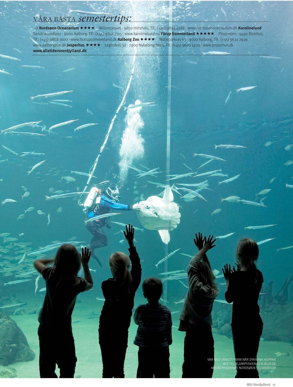 : (+45) 9888 1600 www.faarupsommerland.dk Aalborg Zoo Mølleparkvej 63 9000 Aalborg, Tlf.: (+45) 9631 2929 www.aalborgzoo.