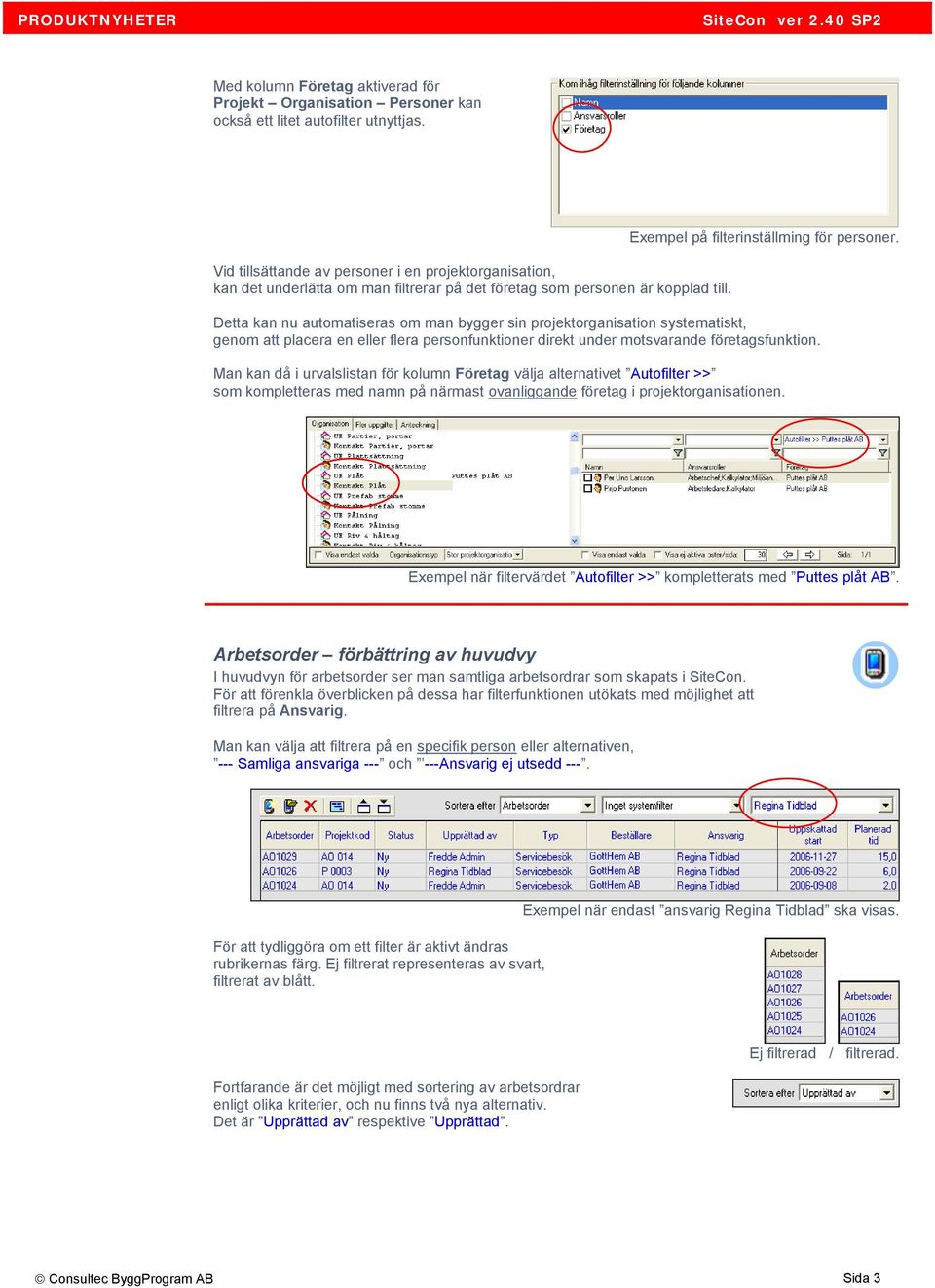 Detta kan nu automatiseras om man bygger sin projektorganisation systematiskt, genom att placera en eller flera personfunktioner direkt under motsvarande företagsfunktion.