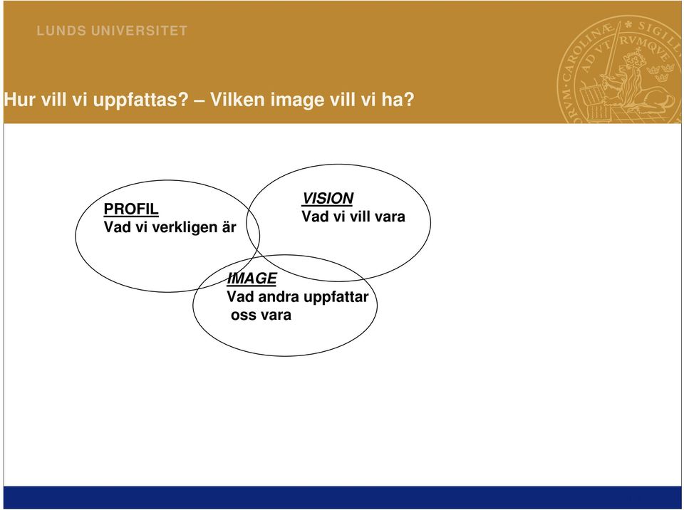 PROFIL Vad vi verkligen är VISION