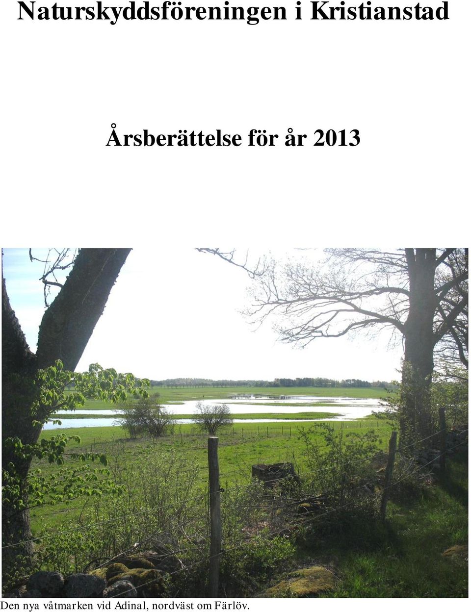 för år 2013 Den nya
