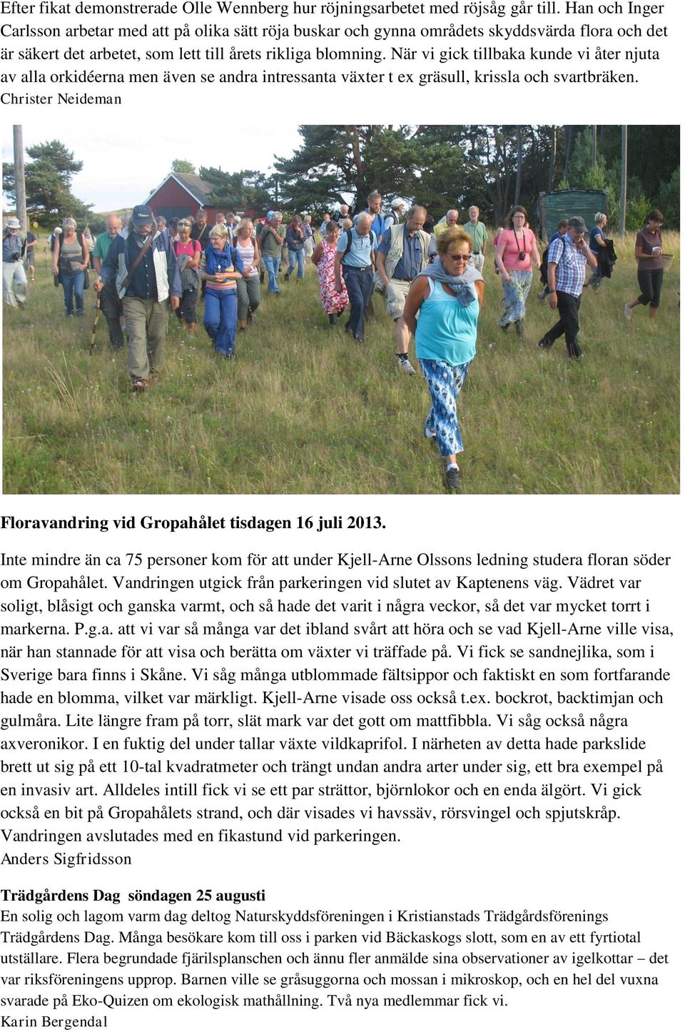 När vi gick tillbaka kunde vi åter njuta av alla orkidéerna men även se andra intressanta växter t ex gräsull, krissla och svartbräken. Floravandring vid Gropahålet tisdagen 16 juli 2013.