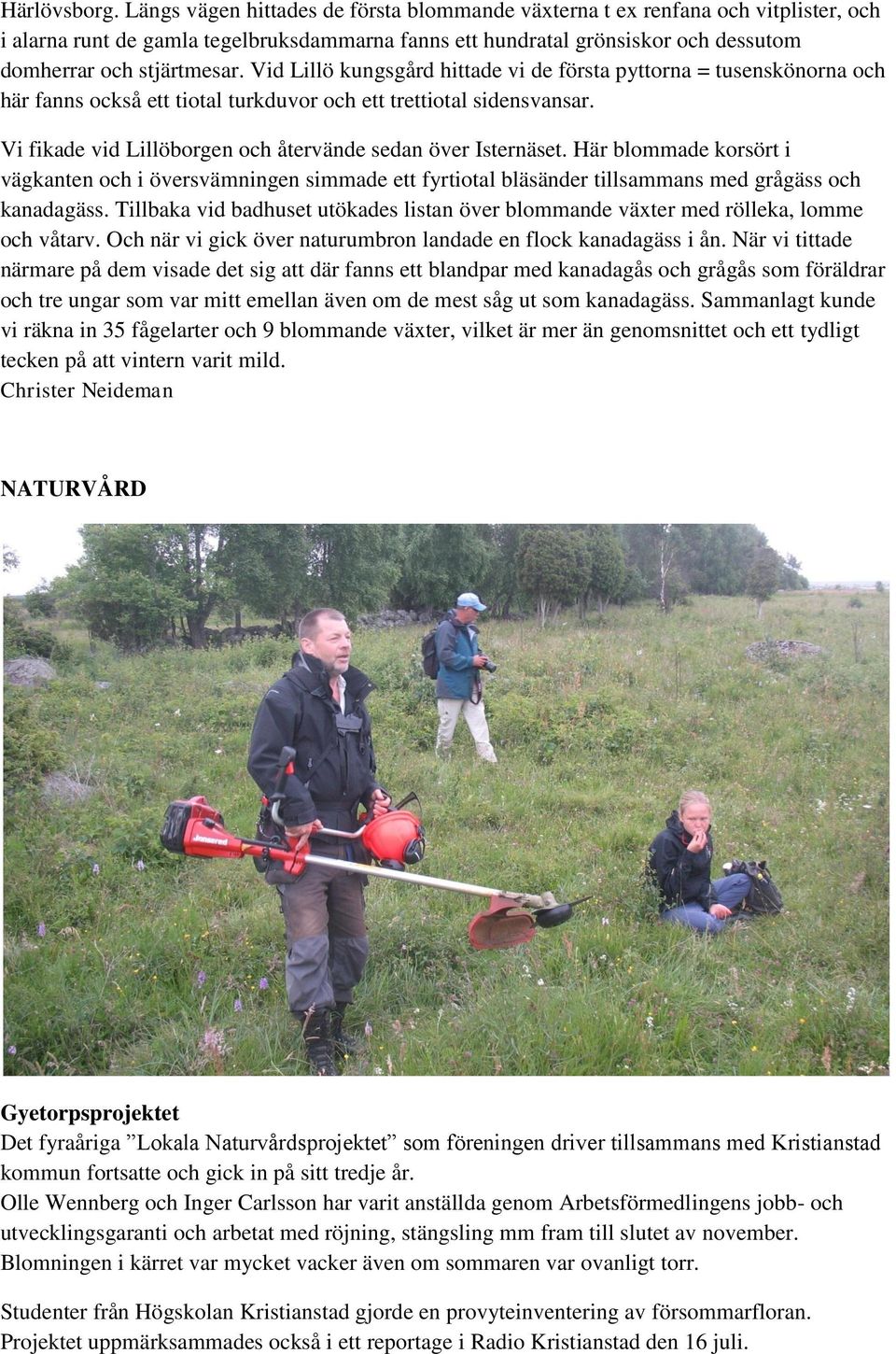 Vid Lillö kungsgård hittade vi de första pyttorna = tusenskönorna och här fanns också ett tiotal turkduvor och ett trettiotal sidensvansar.