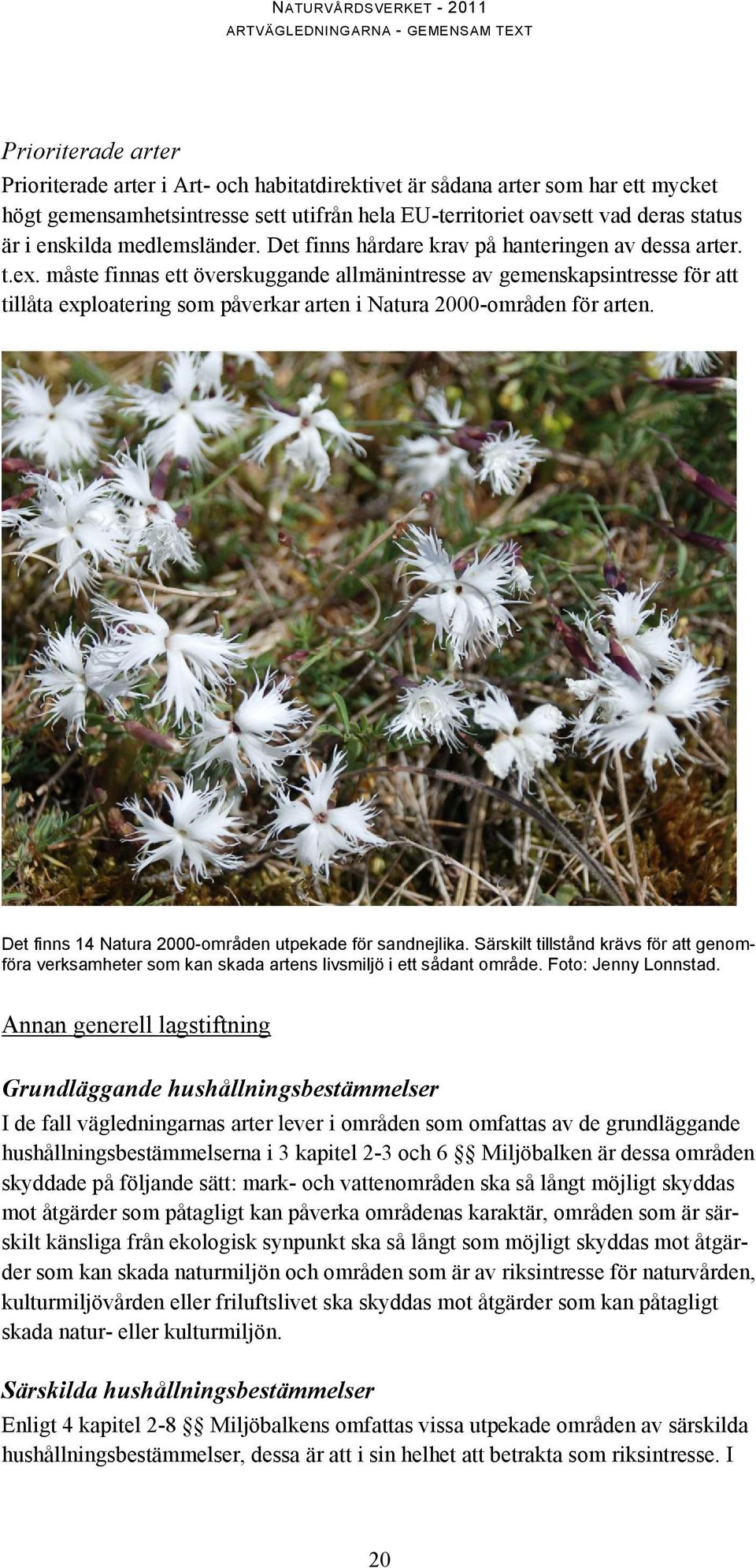 måste finnas ett överskuggande allmänintresse av gemenskapsintresse för att tillåta exploatering som påverkar arten i Natura 2000-områden för arten.