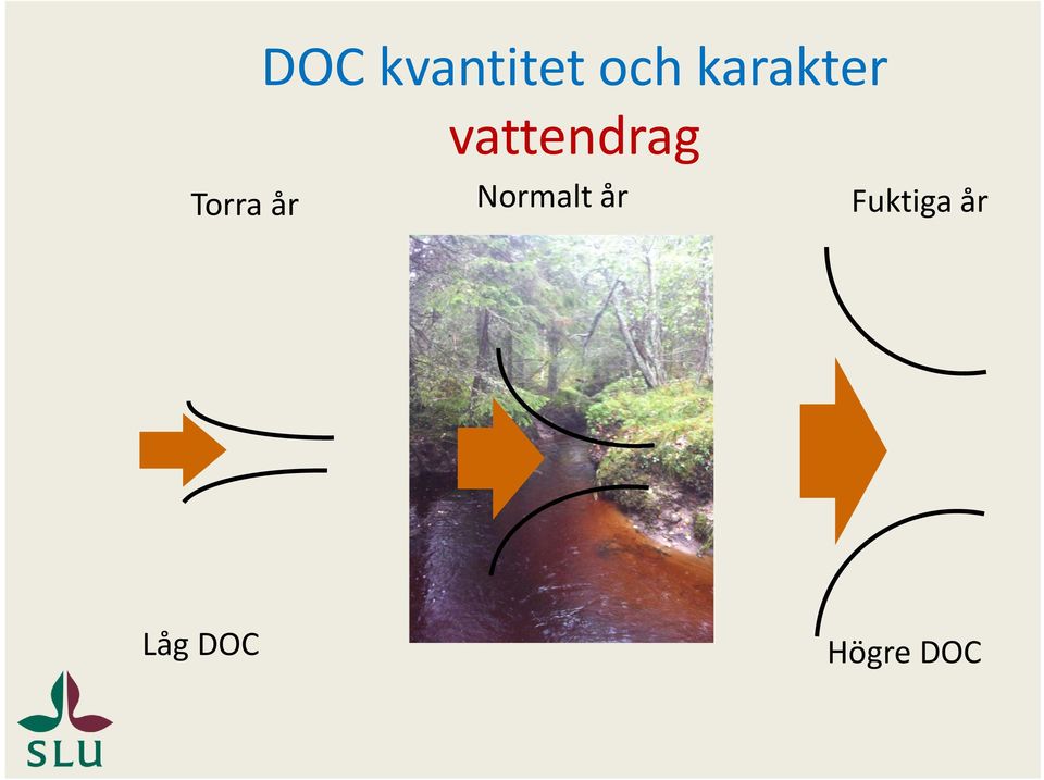 Torra år Normalt år