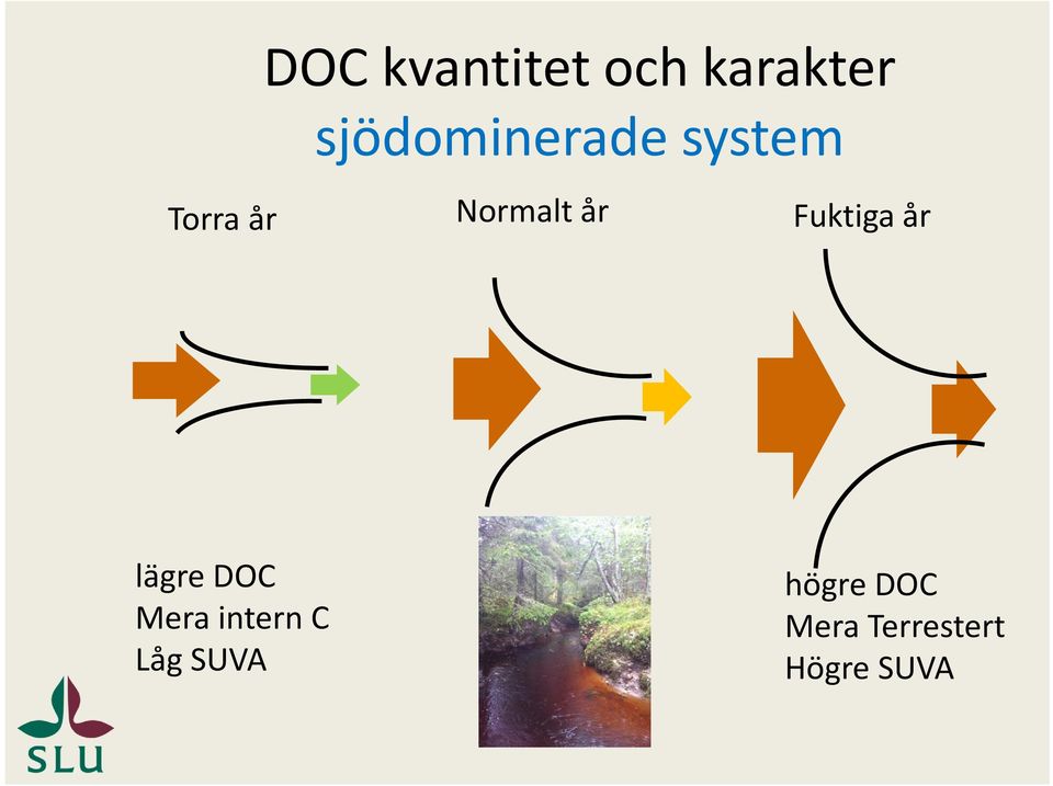 Normalt år Fuktiga år lägre DOC Mera