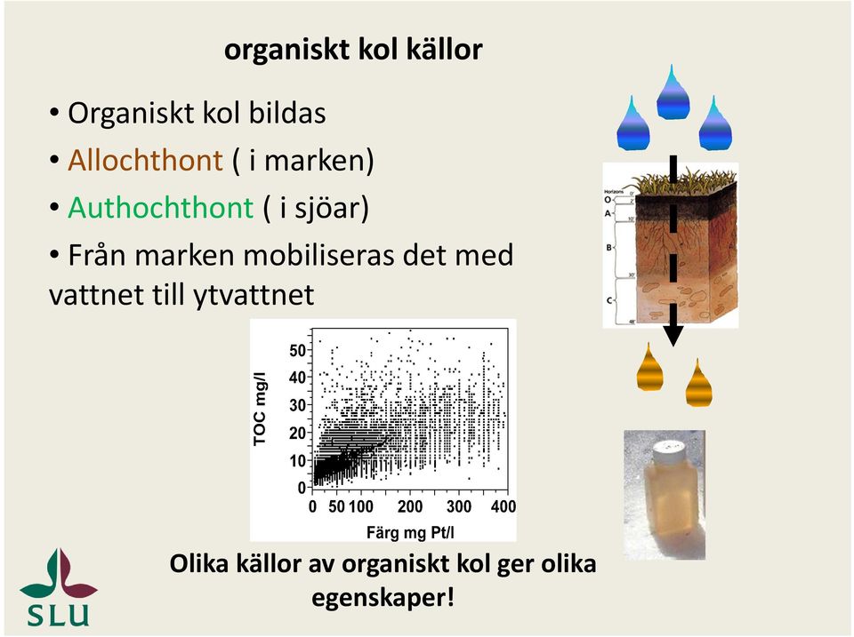 Från marken mobiliseras det med vattnet till