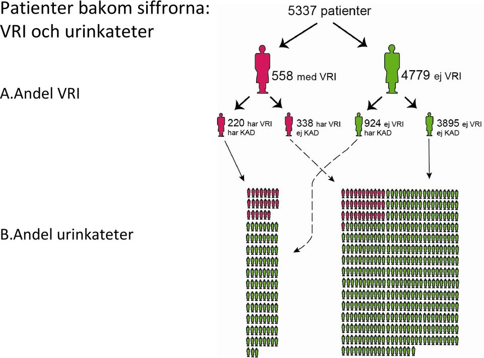 urinkateter A.