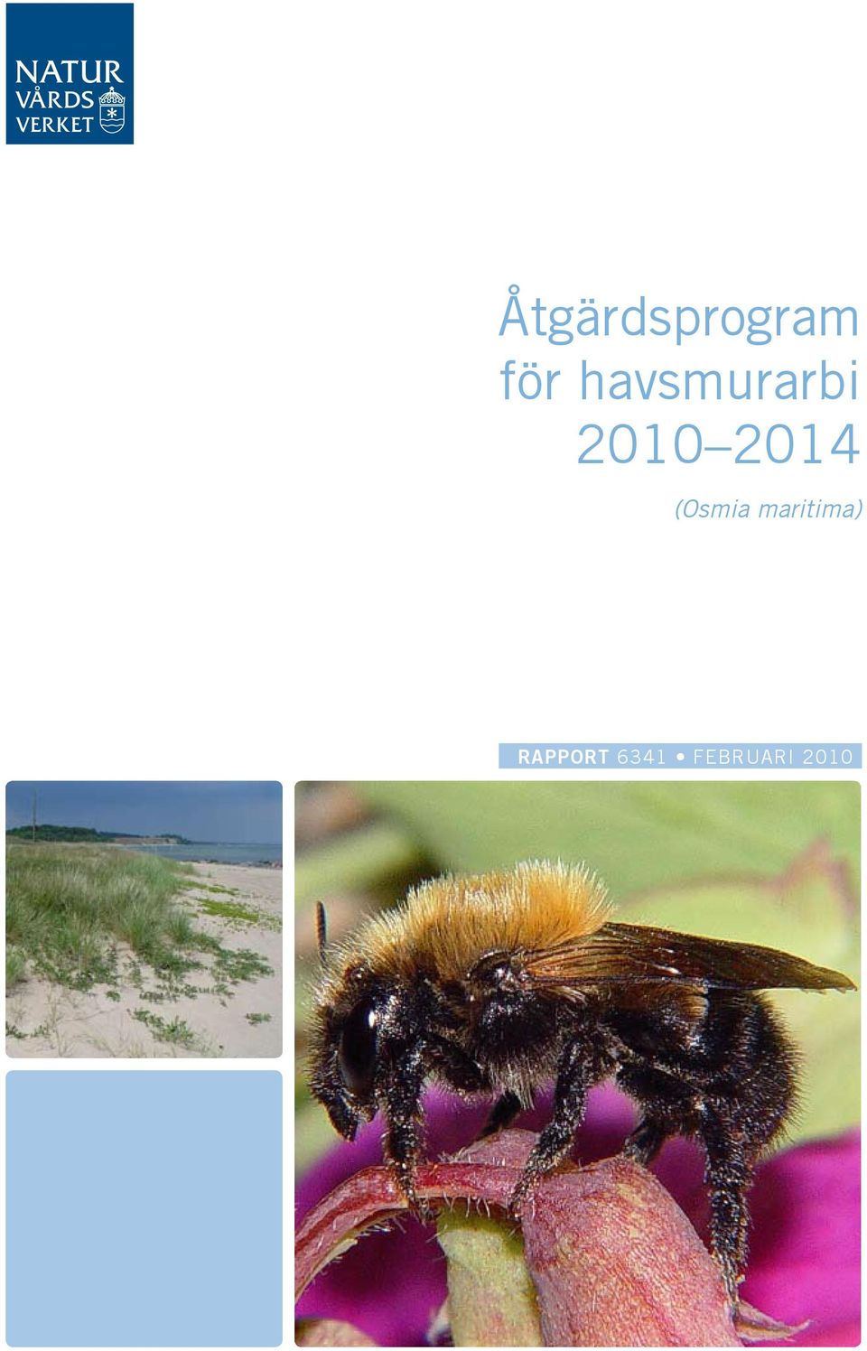 2014 (Osmia