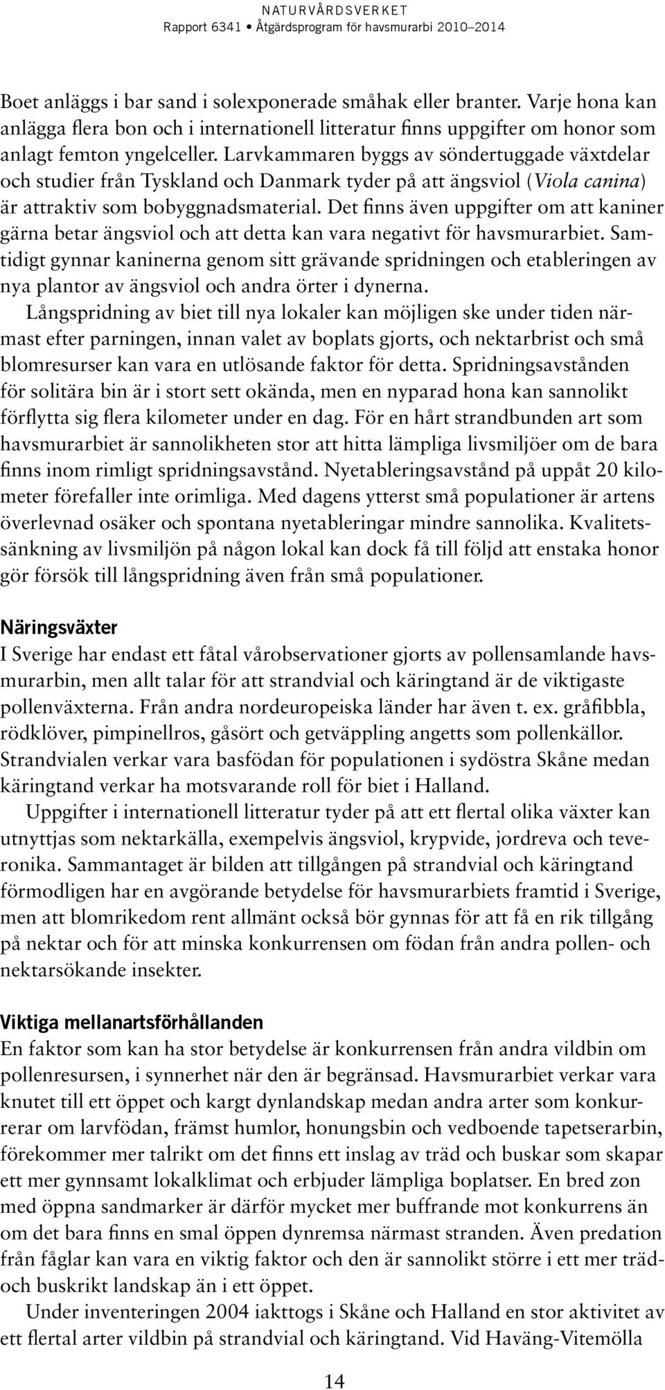 Det finns även uppgifter om att kaniner gärna betar ängsviol och att detta kan vara negativt för havsmurarbiet.