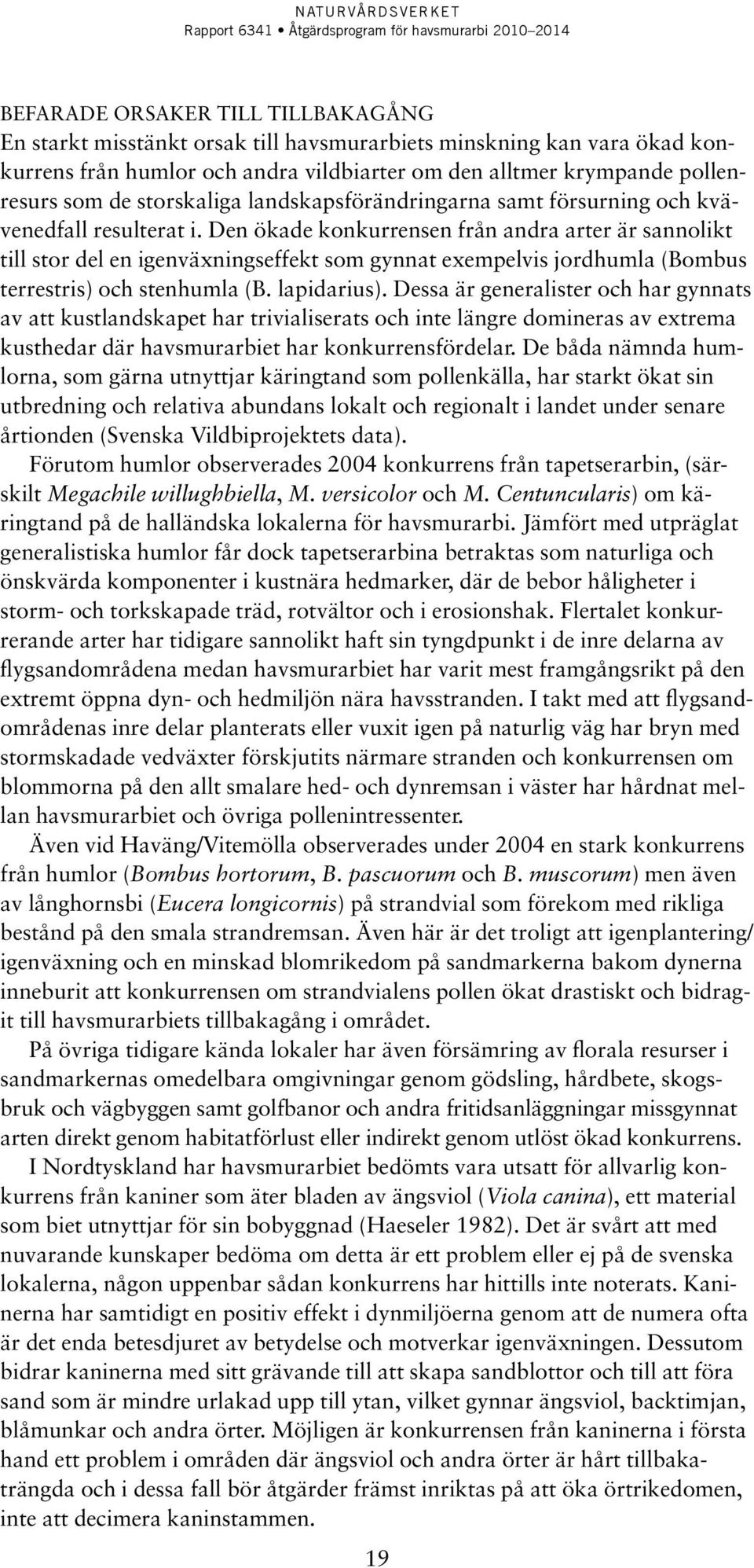 Den ökade konkurrensen från andra arter är sannolikt till stor del en igenväxningseffekt som gynnat exempelvis jordhumla (Bombus terrestris) och stenhumla (B. lapidarius).