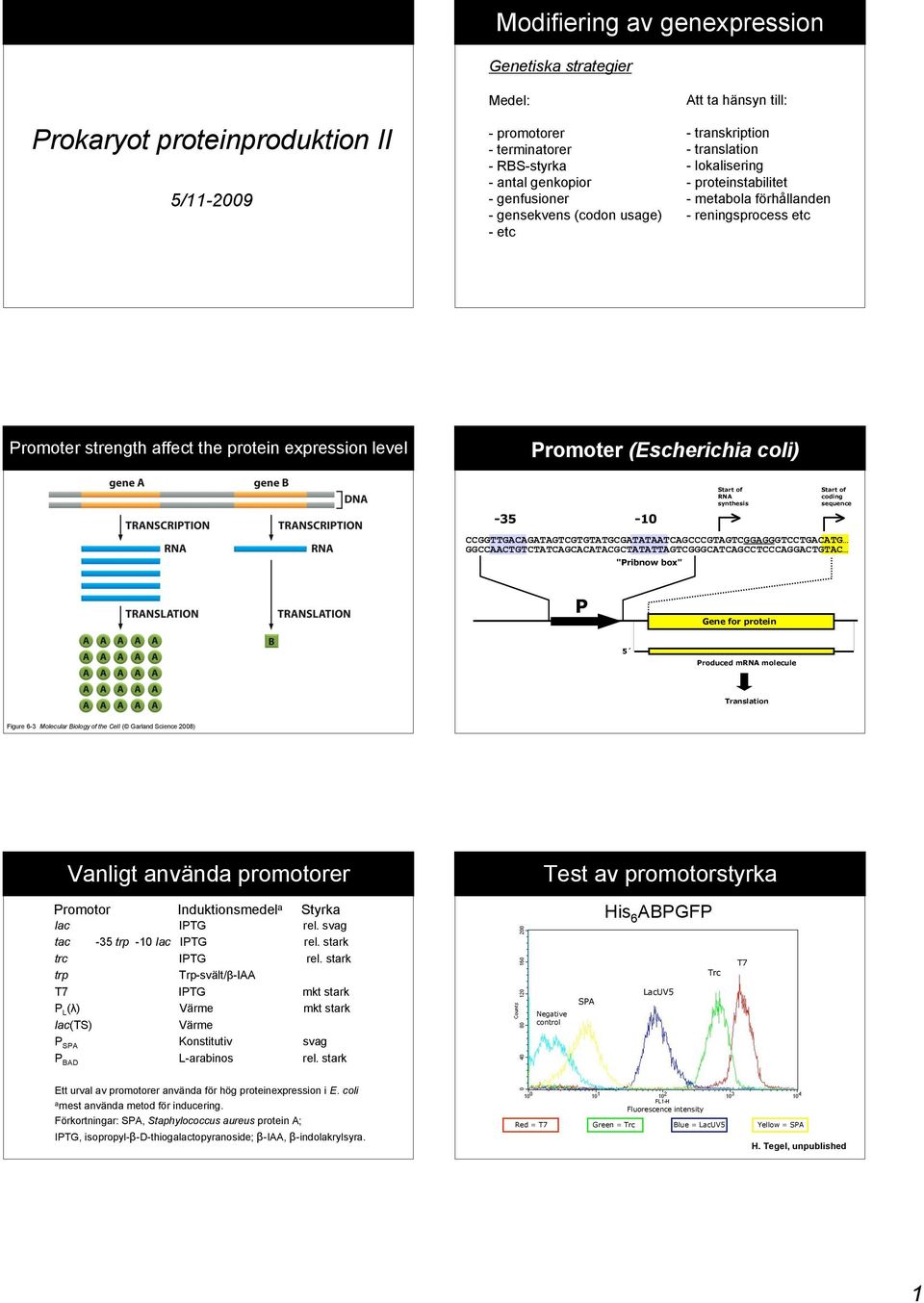 Start of RNA synthesis Start of coding sequence CCGGTTGACAGATAGTCGTGTATGCGATATAATCAGCCCGTAGTCGGAGGGTCCTGACATG GGCCAACTGTCTATCAGCACATACGCTATATTAGTCGGGCATCAGCCTCCCAGGACTGTAC "Pribnow box" P Gene for