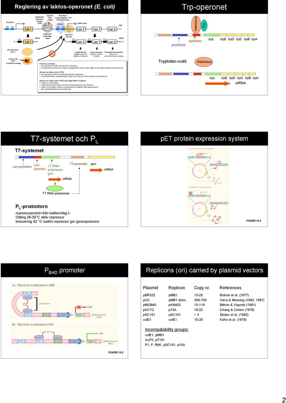 A repressor Trp Lacrepressor (Lac I) Laktos eller IPTG (syntetisk analog) S.D.