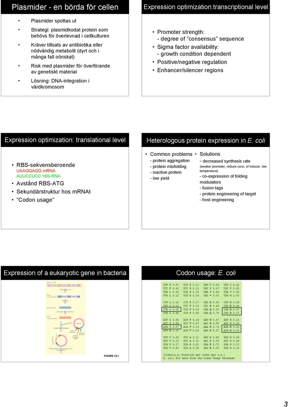 condition dependent Positive/negative regulation Enhancer/silencer regions Lösning: DNAintegration i värdkromosom Expression optimization: translational level Heterologous protein expression in E.