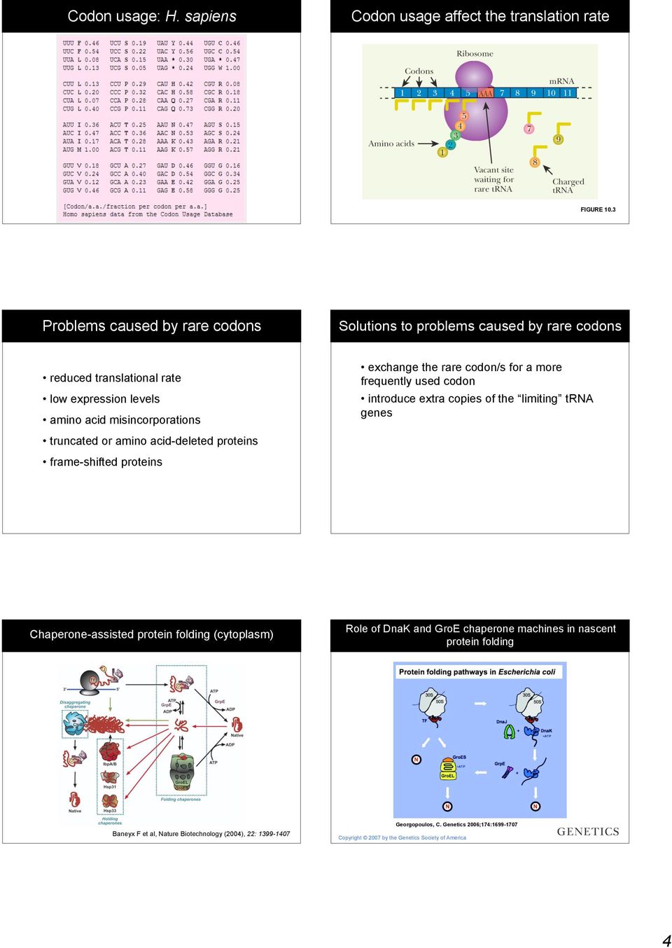 or amino aciddeleted proteins frameshifted proteins exchange the rare codon/s for a more frequently used codon introduce extra copies of the limiting trna genes