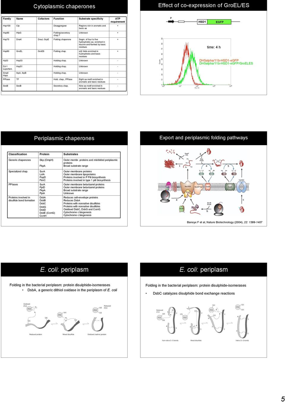 of four to five hydrophobic aa, enriched in leucine and flanked by basic residues α/β folds enriched in hudrophobic and basic residues + + time: 4 h DH5alpha/11bHSD1eGFP DH5alpha/11bHSD1eGFP/GroELES
