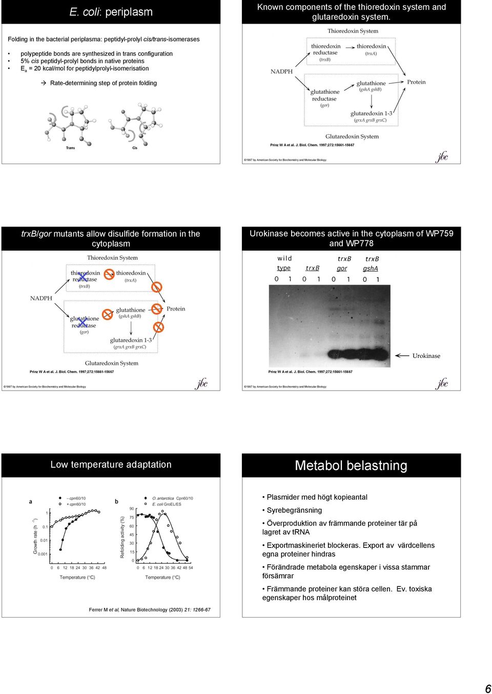peptidylprolylisomerisation Ratedetermining step of protein folding Prinz W A et al. J. Biol. Chem.