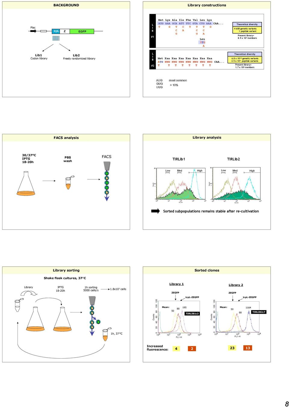 .. T G T C T T A G C A C G G Met Xaa Xaa Xaa Xaa Xaa Xaa Xaa ATG NNG NNG NNG NNG NNG NNG NNG CAA... T T T T T T T T Theoretical diversity 4 608 genetic variants 1 peptide variant Present library= 8.
