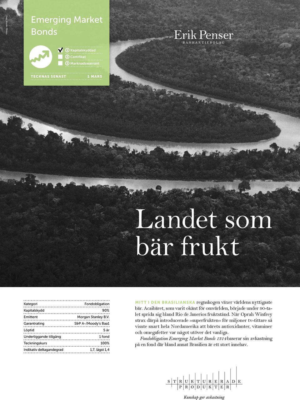 Acaibäret, som varit okänt för omvärlden, började under 90-talet sprida sig bland Rio de Janerios fruktstånd.
