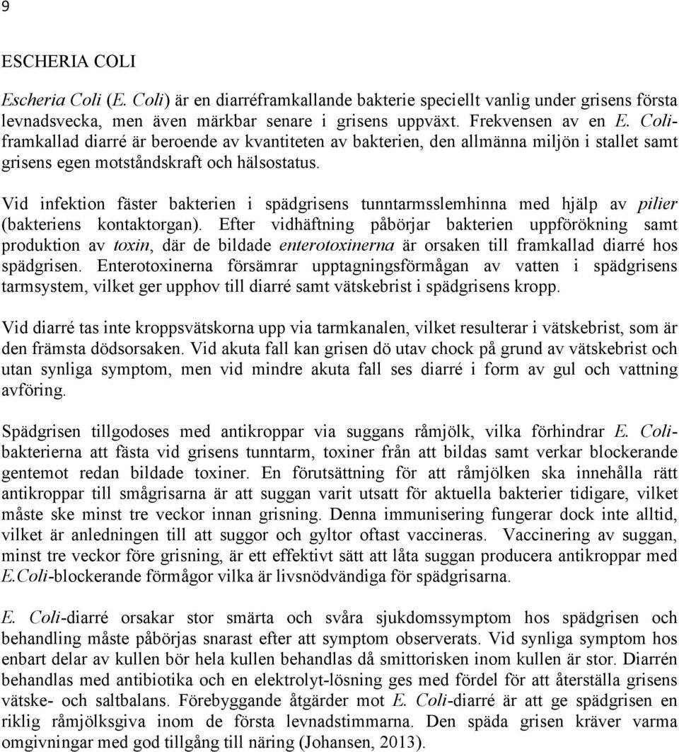 Vid infektion fäster bakterien i spädgrisens tunntarmsslemhinna med hjälp av pilier (bakteriens kontaktorgan).