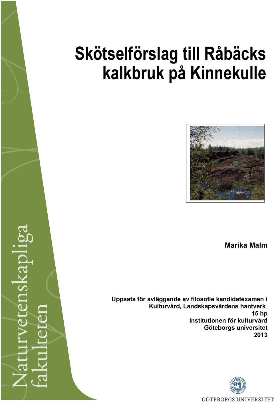 kandidatexamen i Kulturvård, Landskapsvårdens
