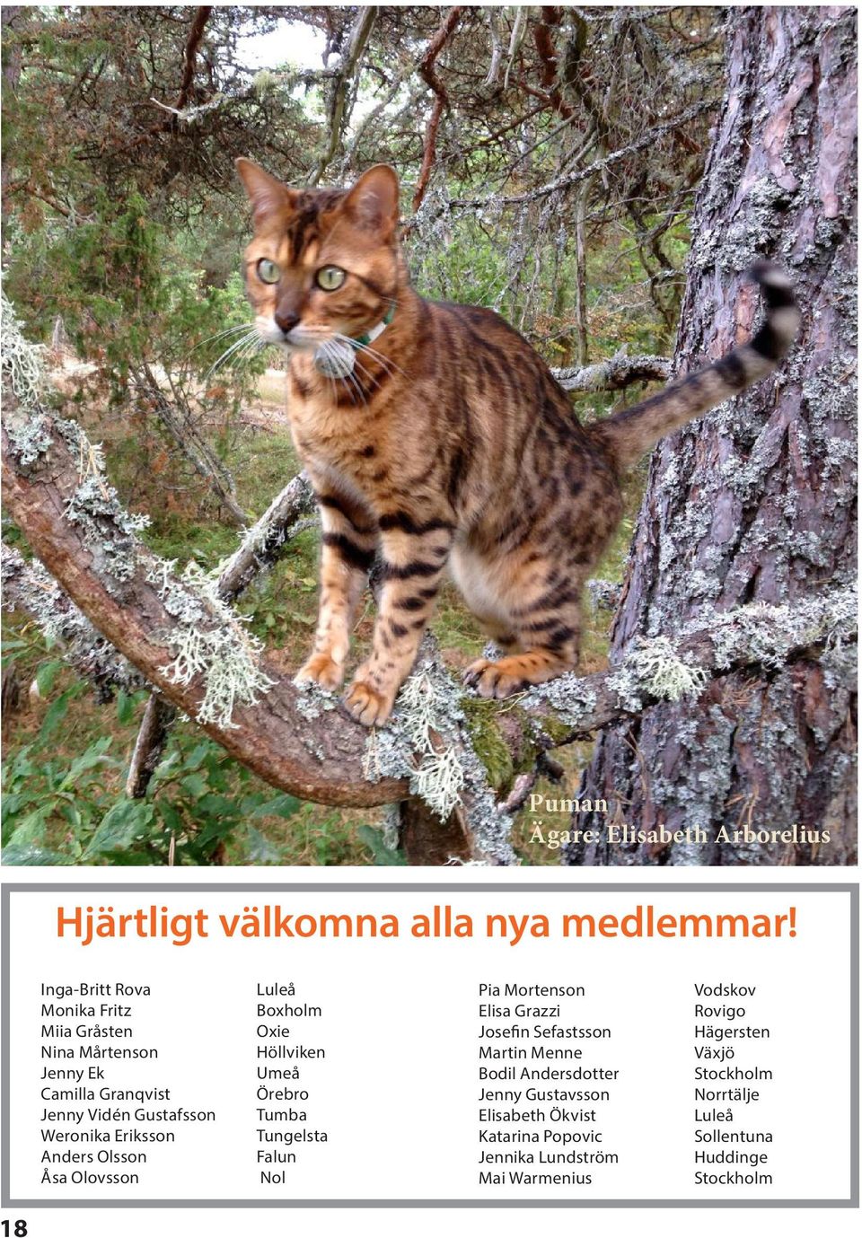 Olsson Åsa Olovsson Luleå Boxholm Oxie Höllviken Umeå Örebro Tumba Tungelsta Falun Nol Pia Mortenson Elisa Grazzi Josefin Sefastsson