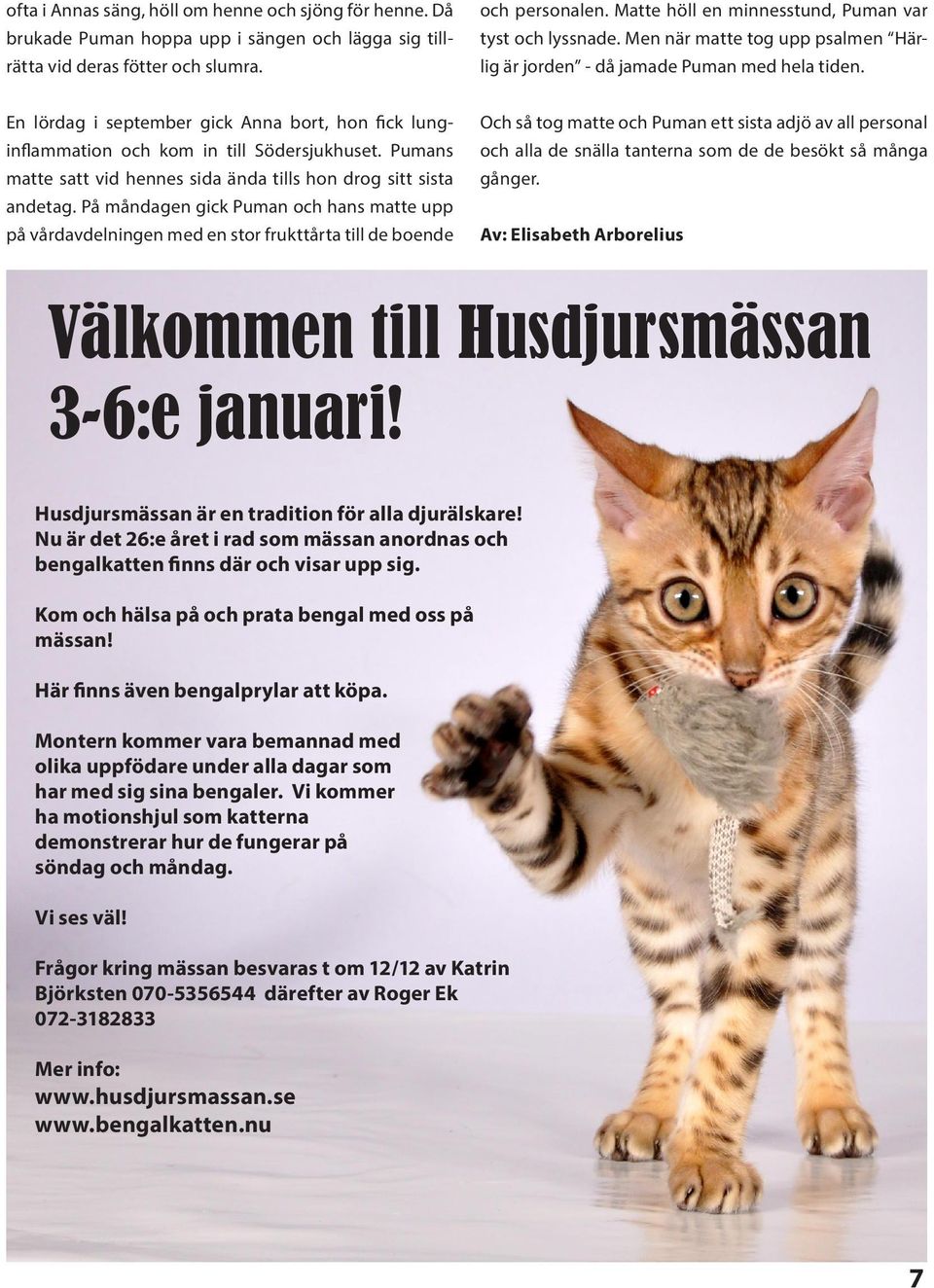 En lördag i september gick Anna bort, hon fick lunginflammation och kom in till Södersjukhuset. Pumans matte satt vid hennes sida ända tills hon drog sitt sista andetag.