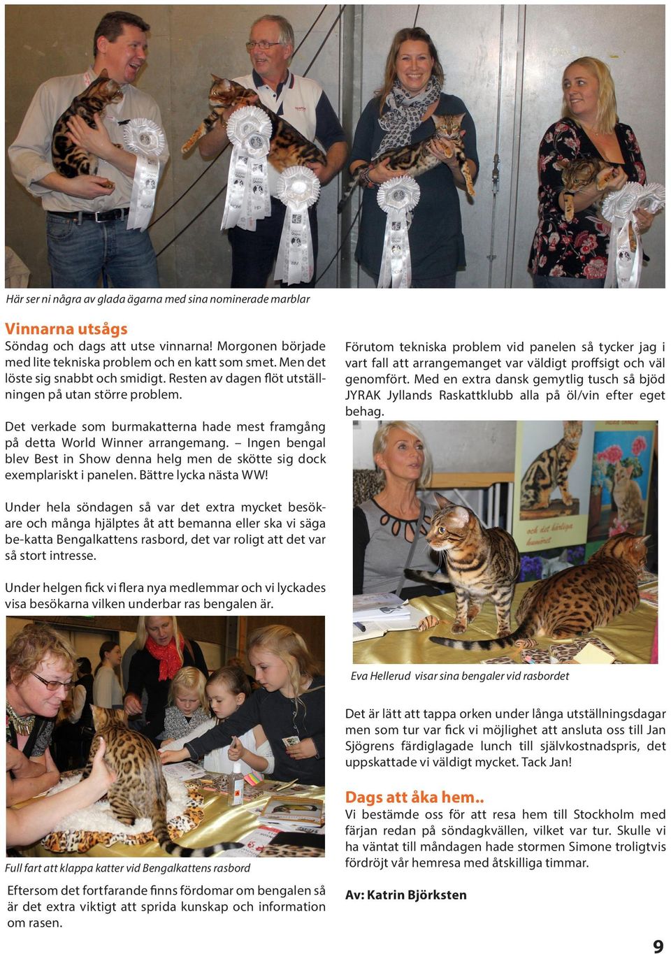 Ingen bengal blev Best in Show denna helg men de skötte sig dock exemplariskt i panelen. Bättre lycka nästa WW!