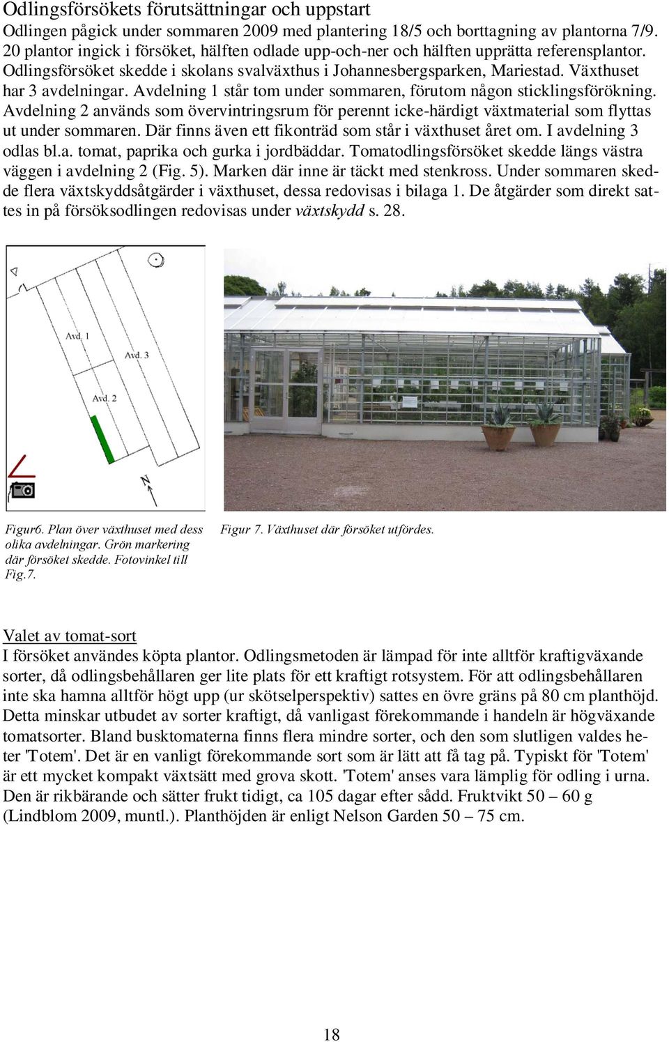 Avdelning 1 står tom under sommaren, förutom någon sticklingsförökning. Avdelning 2 används som övervintringsrum för perennt icke-härdigt växtmaterial som flyttas ut under sommaren.