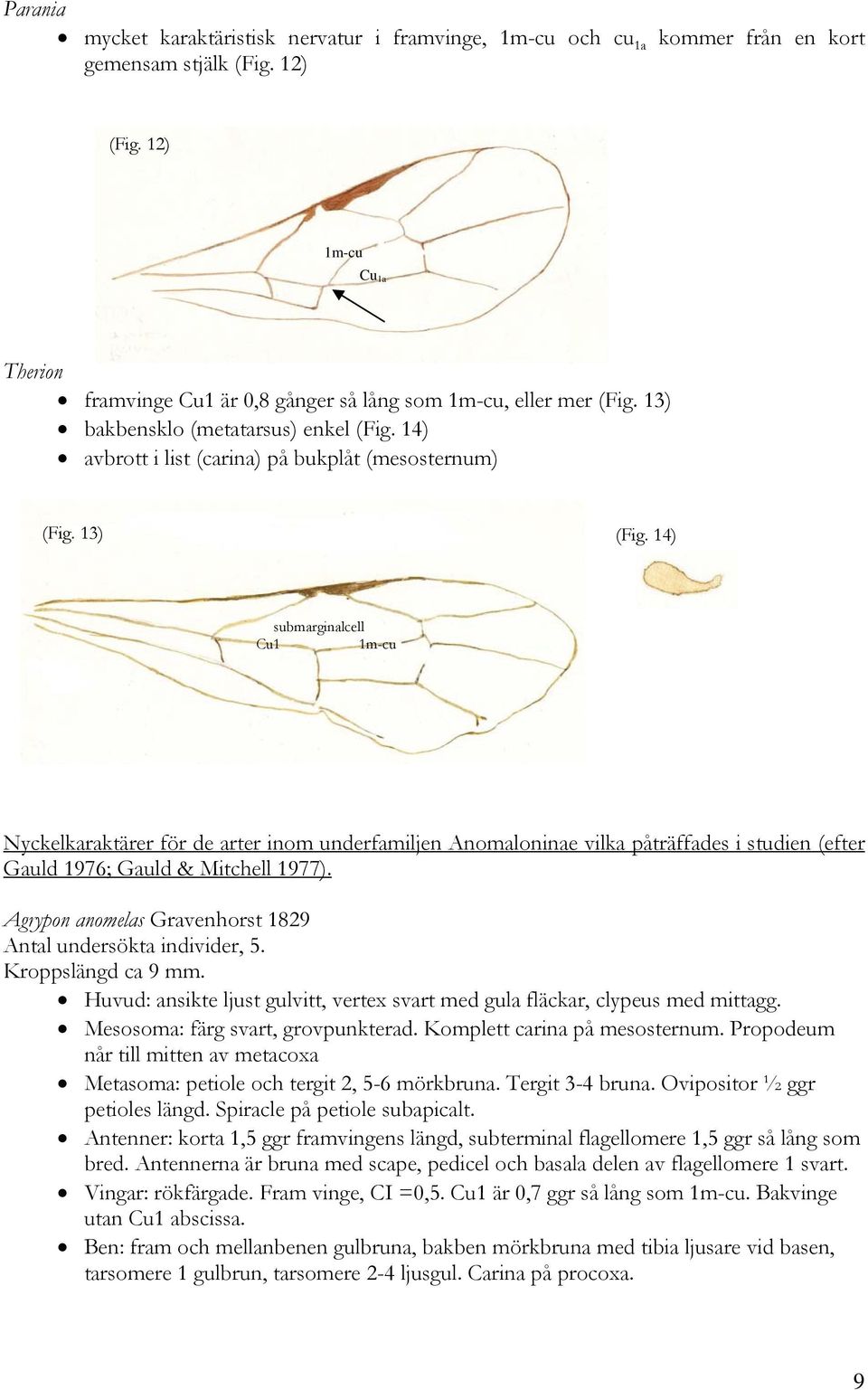 14) submarginalcell Cu1 1m-cu Nyckelkaraktärer för de arter inom underfamiljen Anomaloninae vilka påträffades i studien (efter Gauld 1976; Gauld & Mitchell 1977).