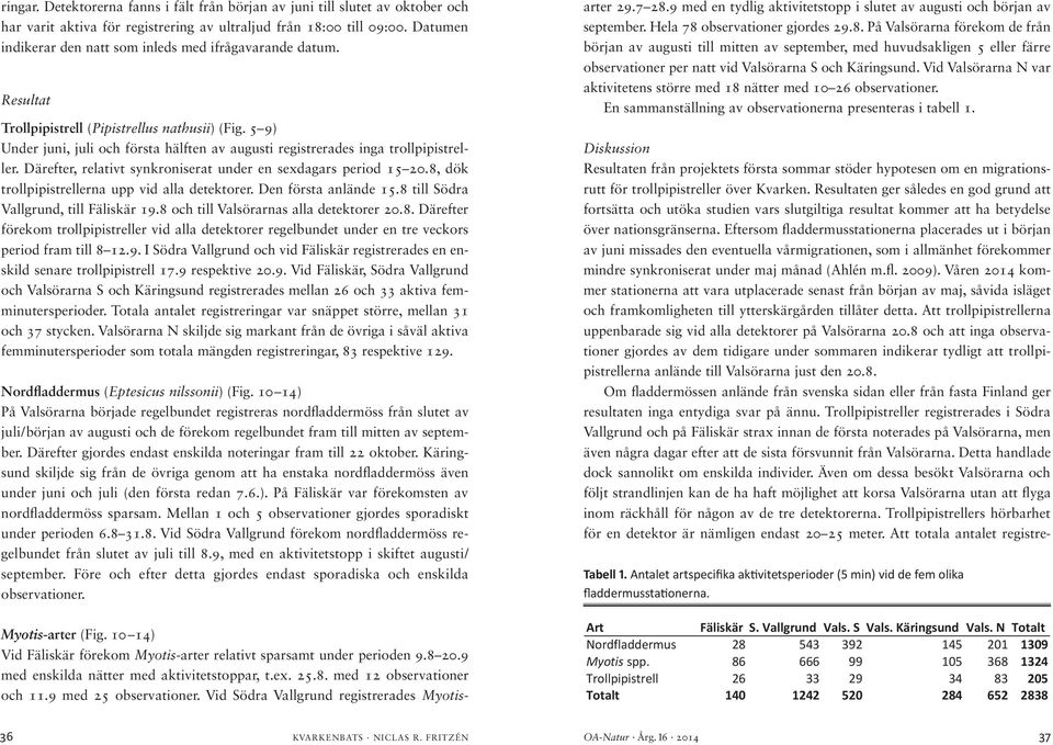 5 9) Under juni, juli och första hälften av augusti registrerades inga trollpipistreller. Därefter, relativt synkroniserat under en sexdagars period 15 20.