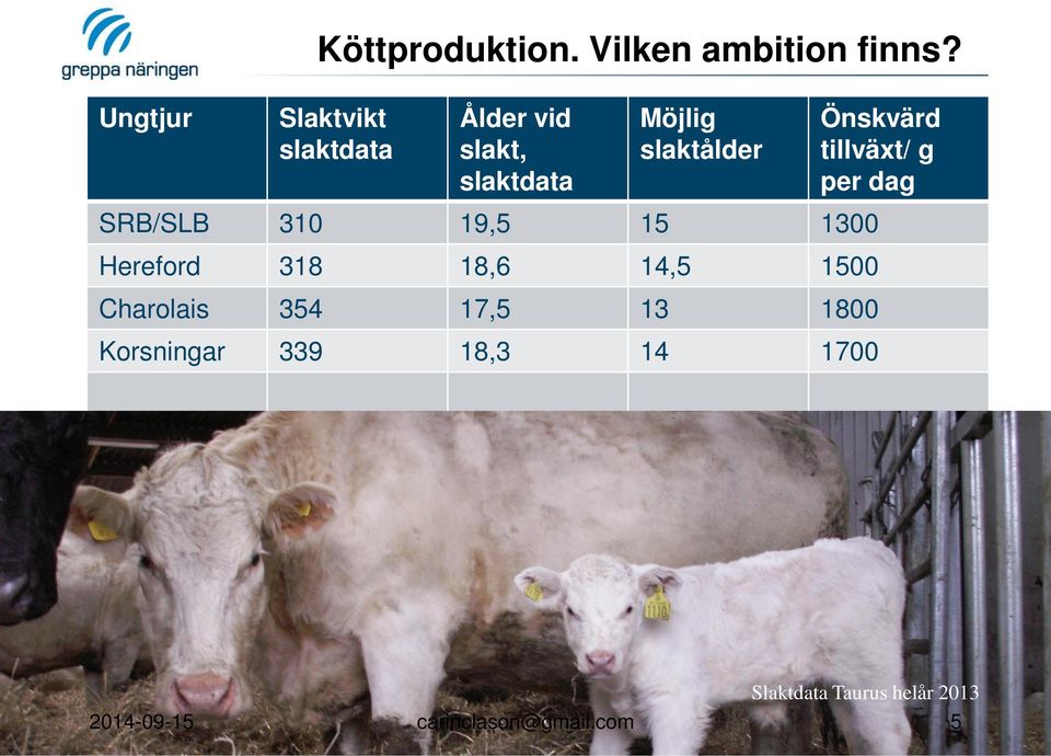 19,5 15 1300 Hereford 318 18,6 14,5 1500 Charolais 354 17,5 13 1800