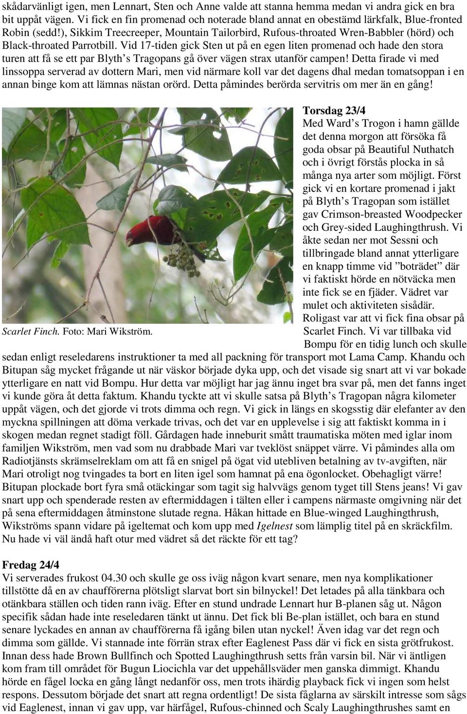 ), Sikkim Treecreeper, Mountain Tailorbird, Rufous-throated Wren-Babbler (hörd) och Black-throated Parrotbill.