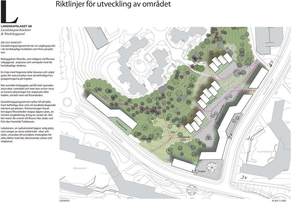 En linje med högresta tallar bevaras och utgör gräns för naturmarken mot de befintliga husgrupperingarna på höjden.