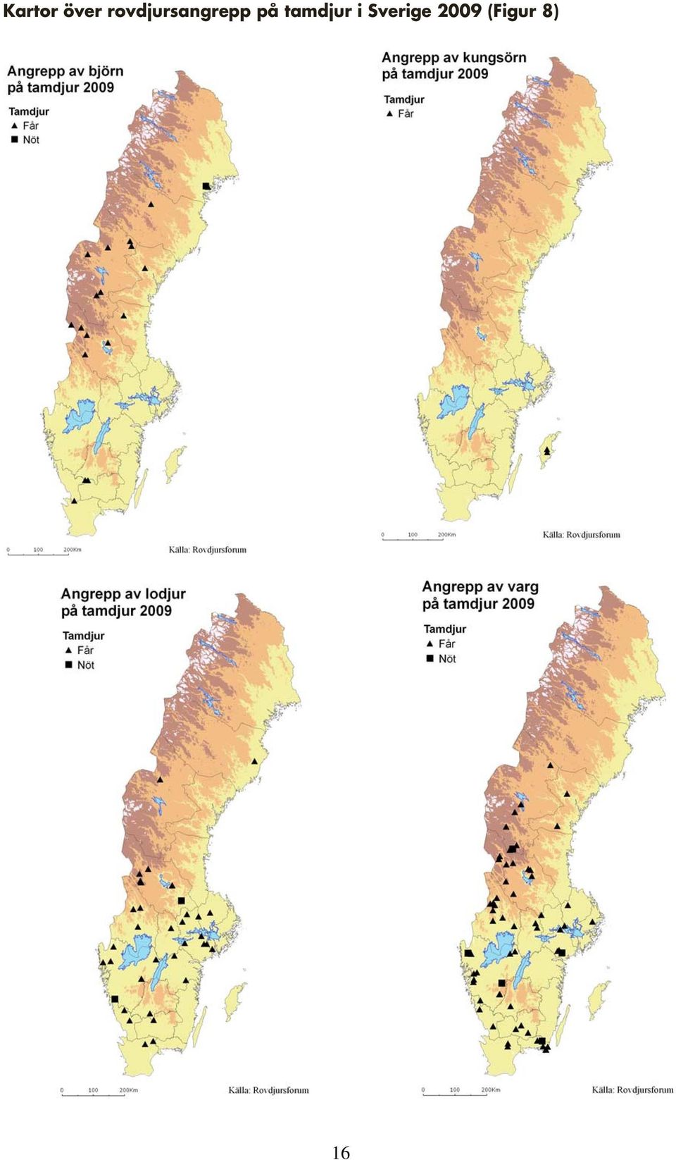 på tamdjur i