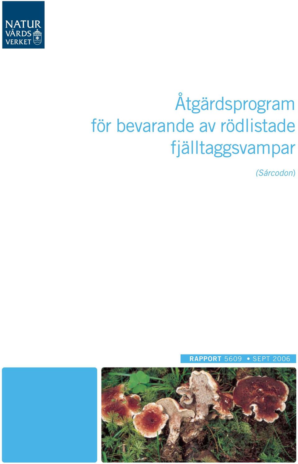 fjälltaggsvampar