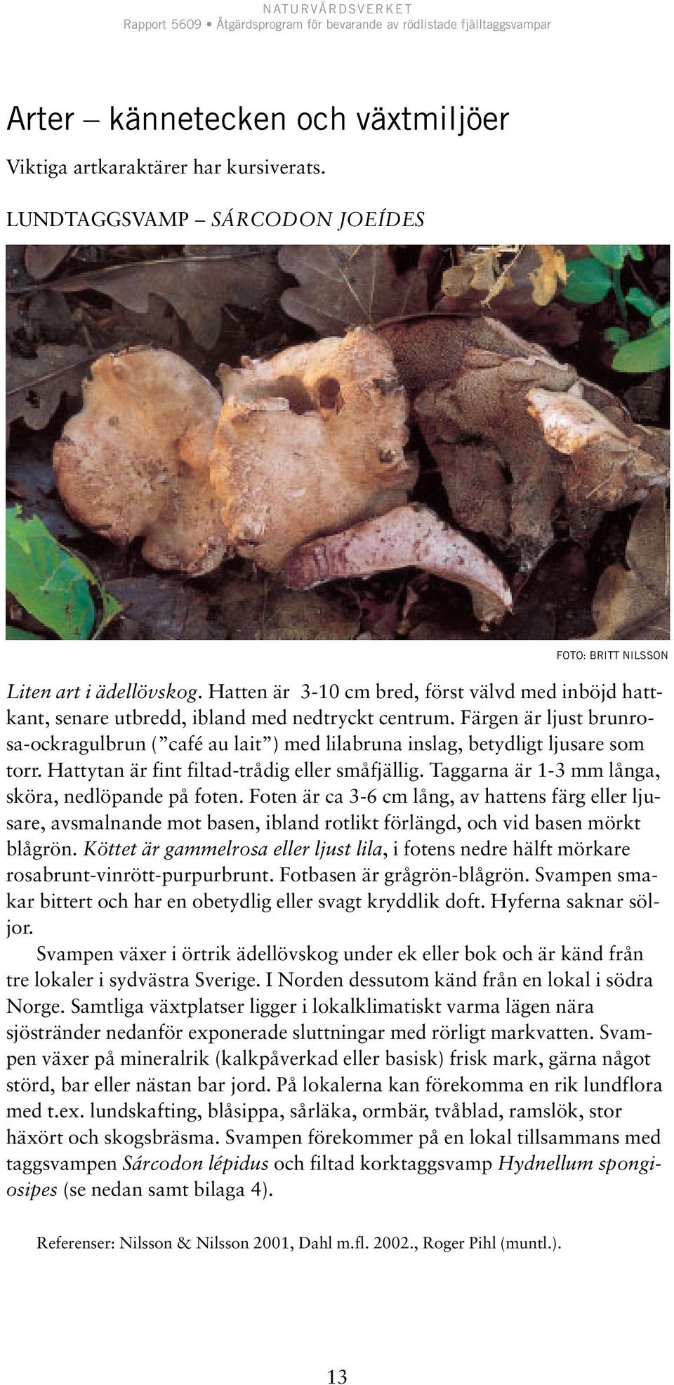 Färgen är ljust brunrosa-ockragulbrun ( café au lait ) med lilabruna inslag, betydligt ljusare som torr. Hattytan är fint filtad-trådig eller småfjällig.