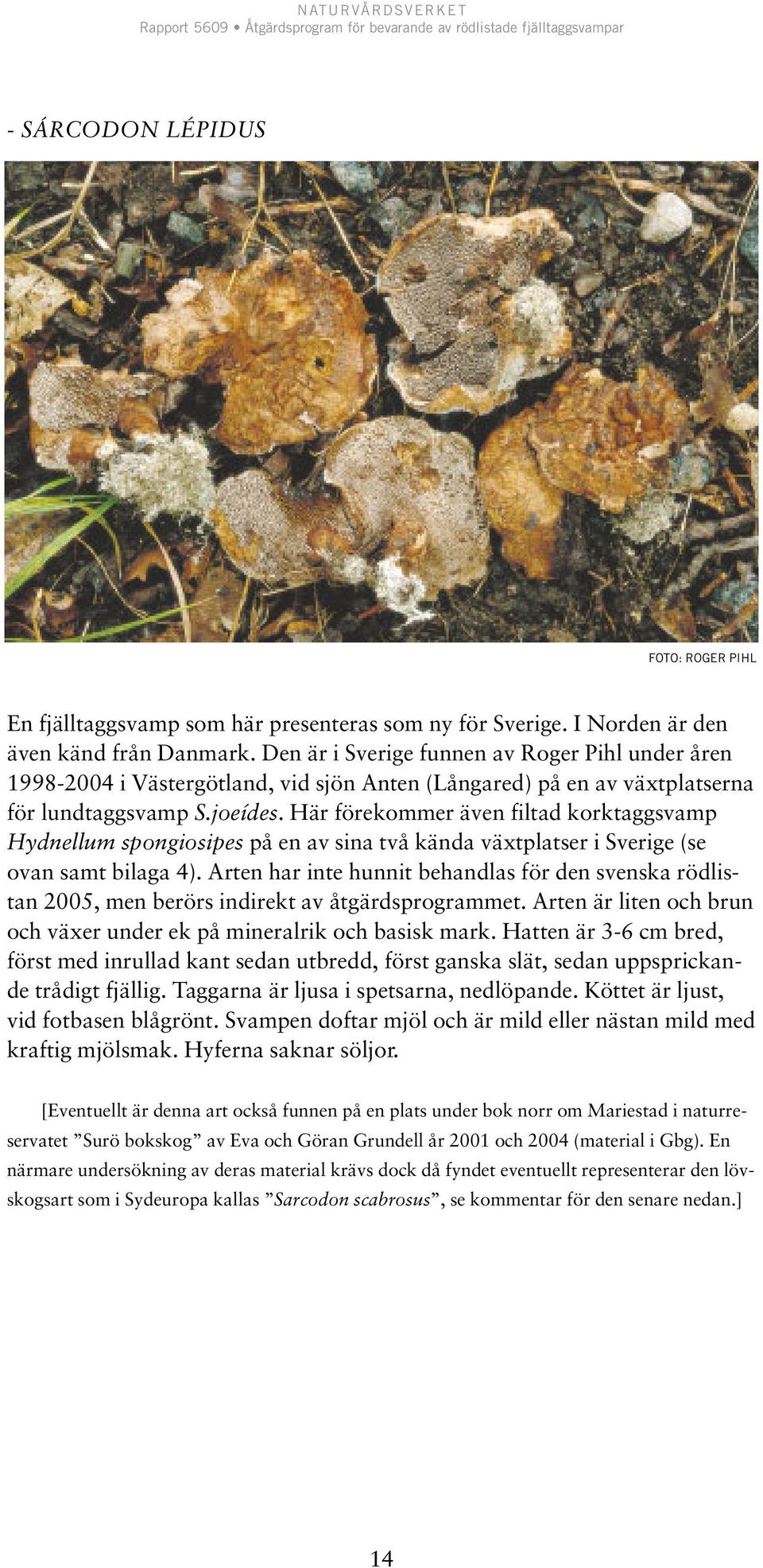 Här förekommer även filtad korktaggsvamp Hydnellum spongiosipes på en av sina två kända växtplatser i Sverige (se ovan samt bilaga 4).