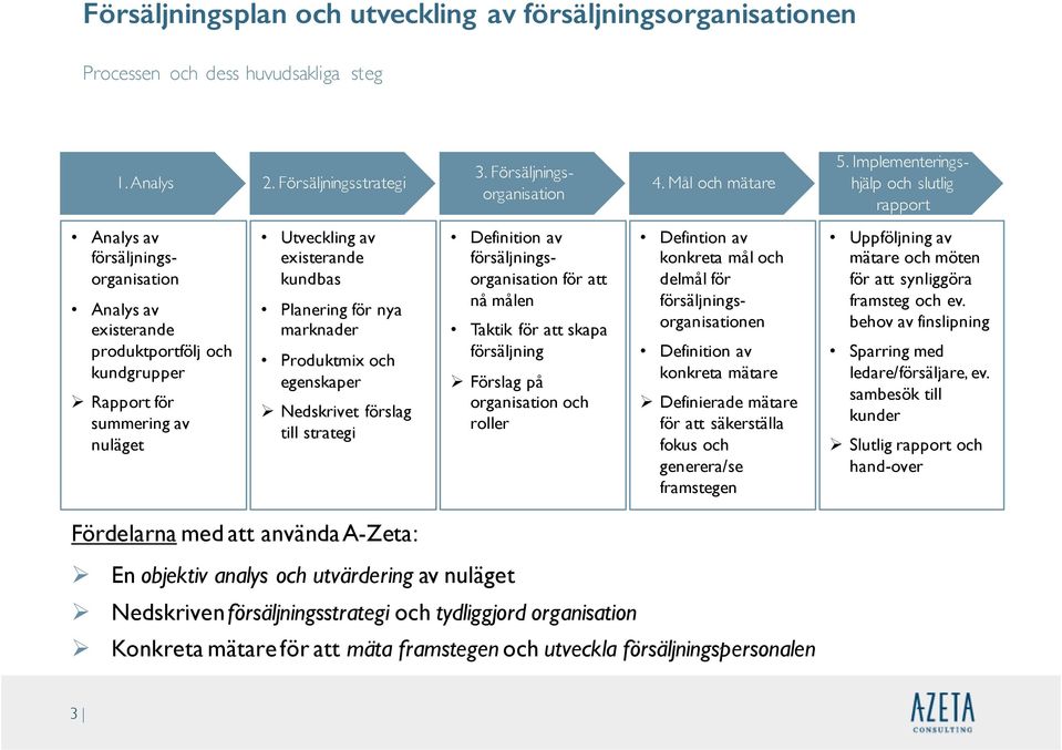 Planering för nya marknader Produktmix och egenskaper Nedskrivet förslag till strategi Definition av försäljningsorganisation för att nå målen Taktik för att skapa försäljning Förslag på organisation