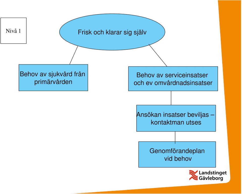 serviceinsatser och ev omvårdnadsinsatser