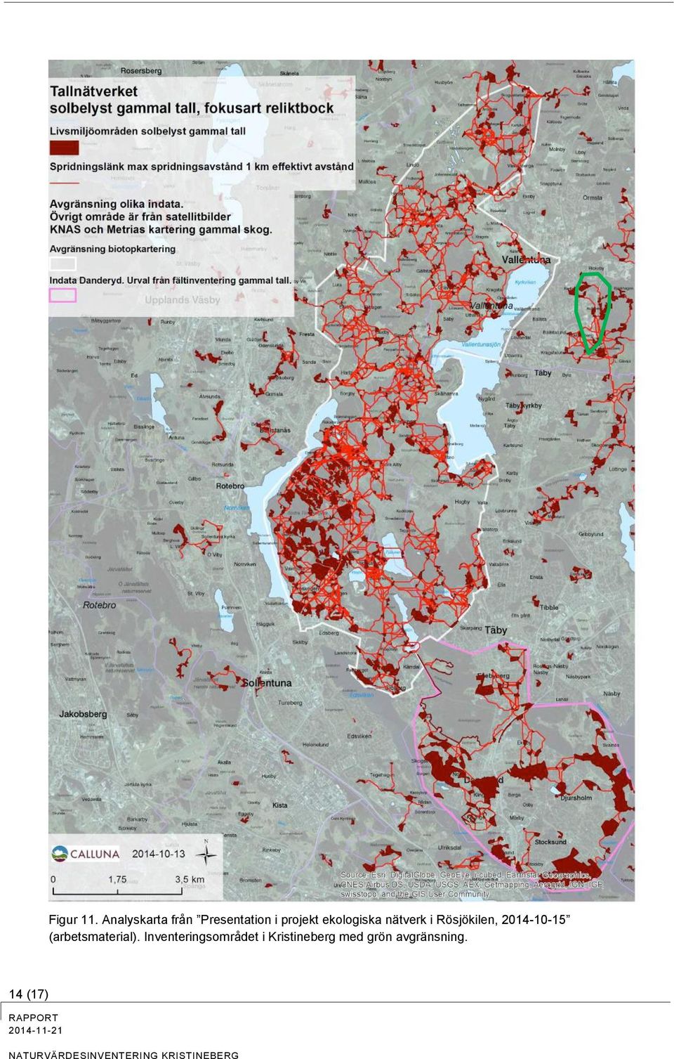 ekologiska nätverk i Rösjökilen, 2014-10-15