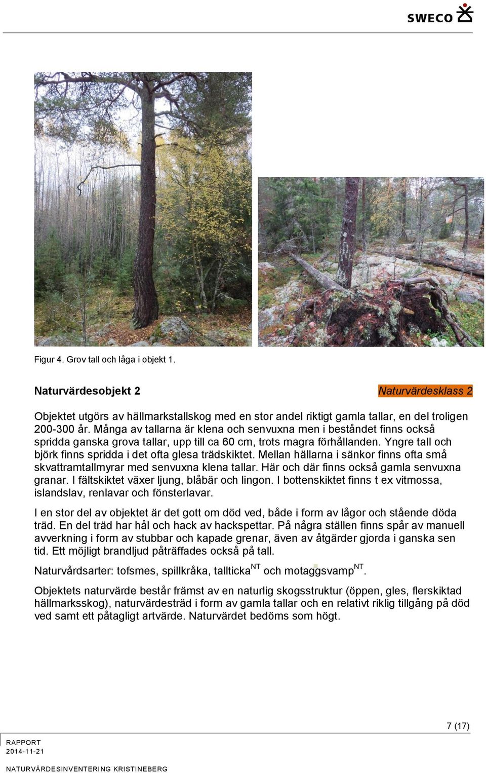 Yngre tall och björk finns spridda i det ofta glesa trädskiktet. Mellan hällarna i sänkor finns ofta små skvattramtallmyrar med senvuxna klena tallar. Här och där finns också gamla senvuxna granar.