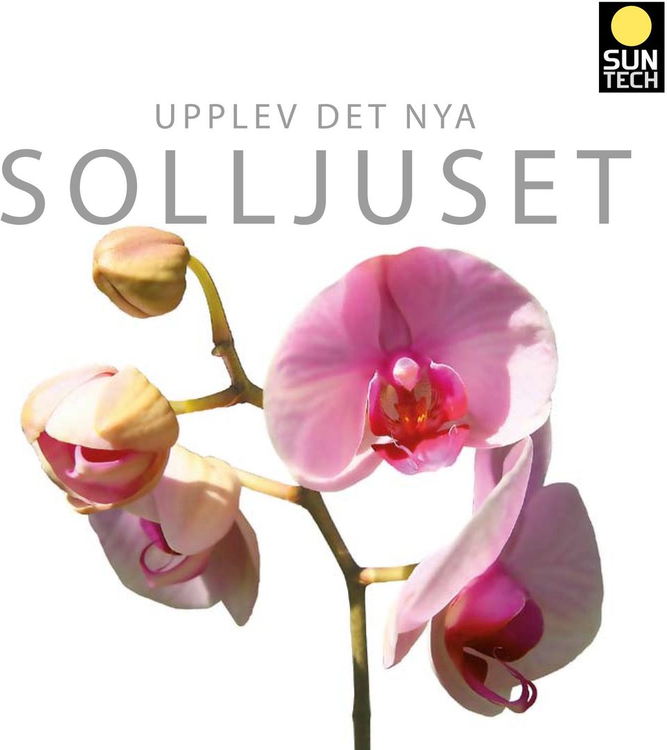 SOLLJUSET