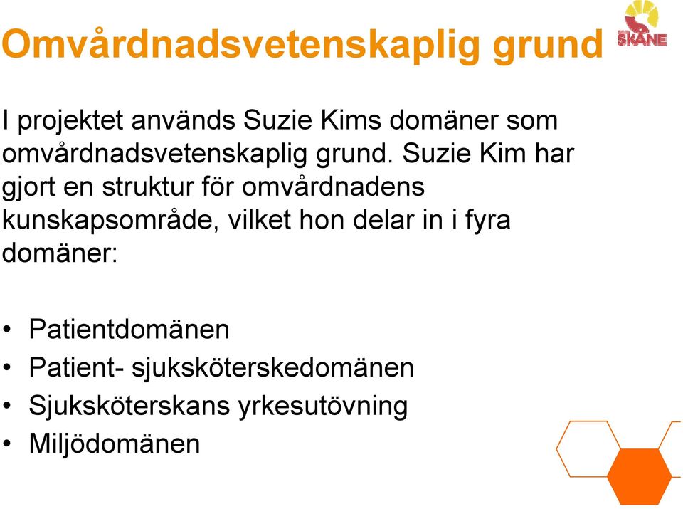 Suzie Kim har gjort en struktur för omvårdnadens kunskapsområde, vilket