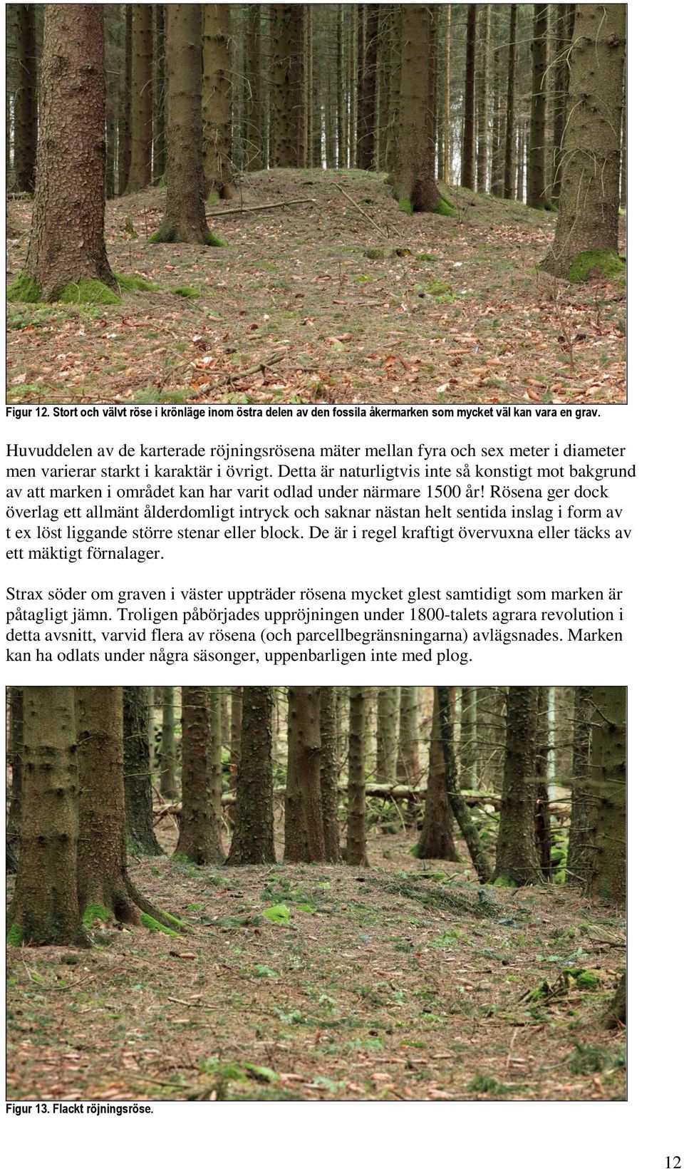 Detta är naturligtvis inte så konstigt mot bakgrund av att marken i området kan har varit odlad under närmare 1500 år!