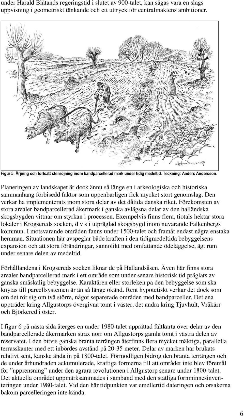 Planeringen av landskapet är dock ännu så länge en i arkeologiska och historiska sammanhang förbisedd faktor som uppenbarligen fick mycket stort genomslag.