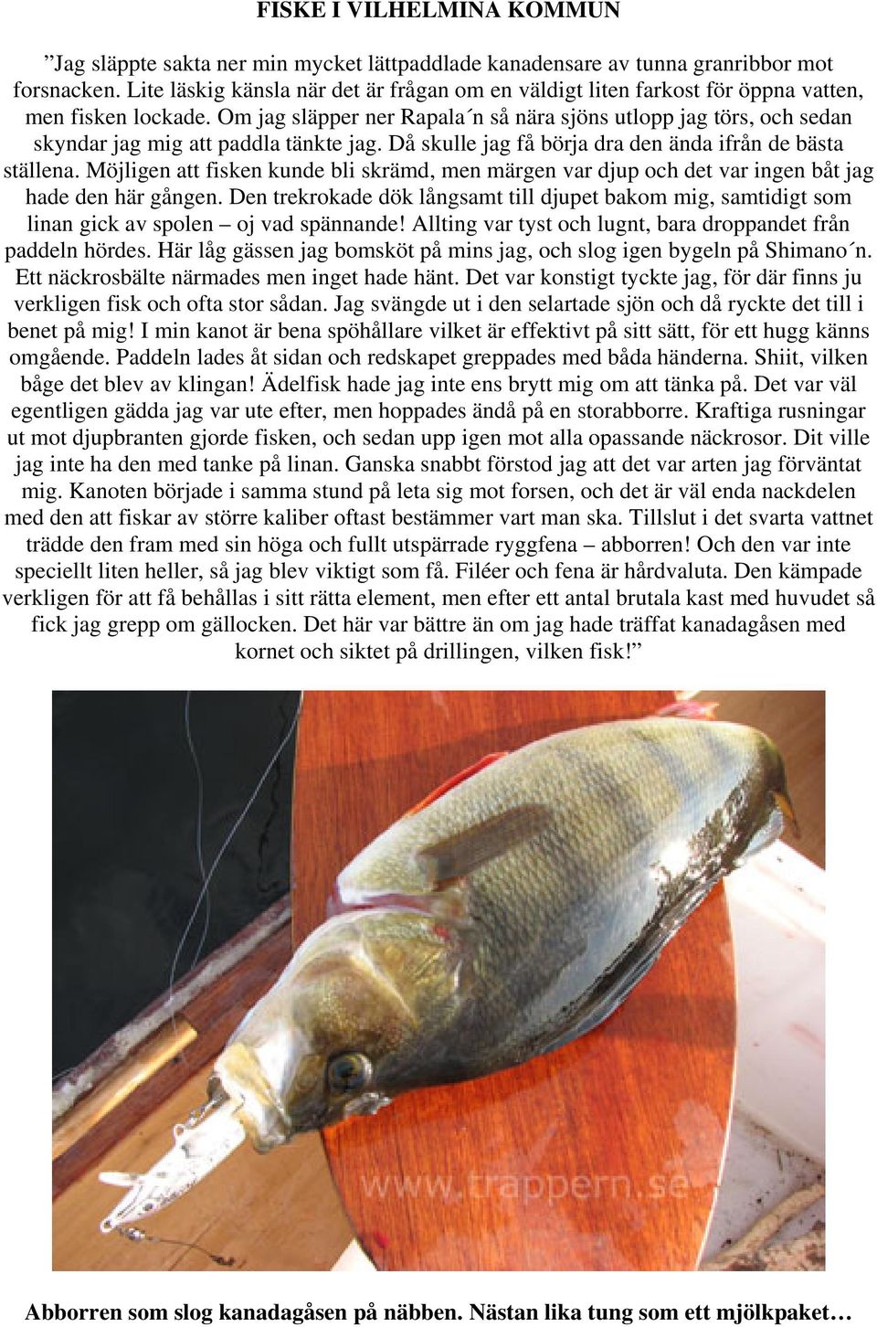 Om jag släpper ner Rapala n så nära sjöns utlopp jag törs, och sedan skyndar jag mig att paddla tänkte jag. Då skulle jag få börja dra den ända ifrån de bästa ställena.